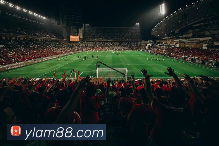 永利澳门平台生态图