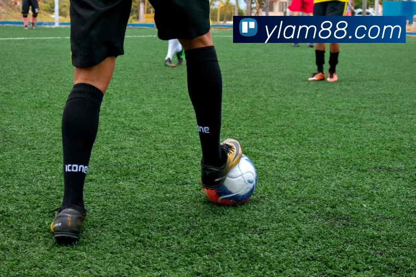 永利澳门全站App